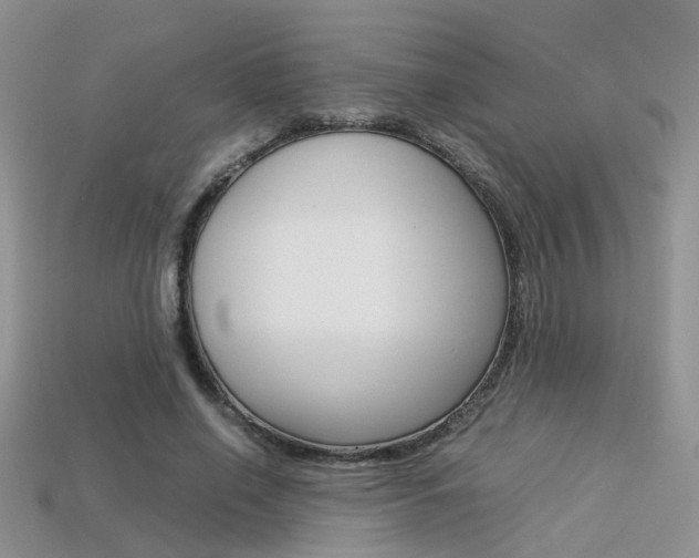 X0000113310638200909141007