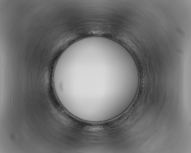 X0000113310639200909141007