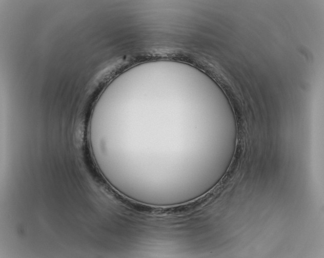 X0000113310640200909141007