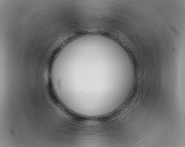 X0000113310644200909141007