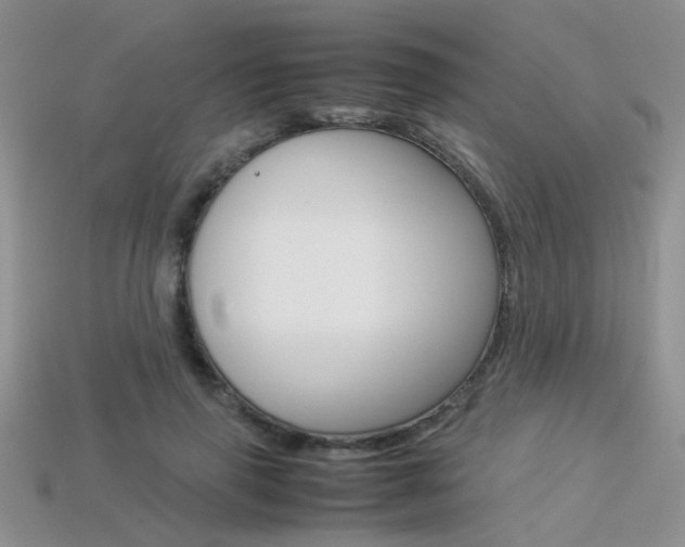 X0000113310645200909141007