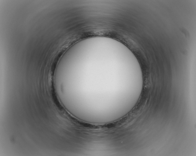 X0000113310646200909141007