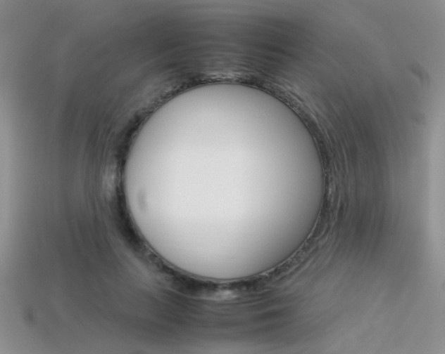 X0000113310647200909141007