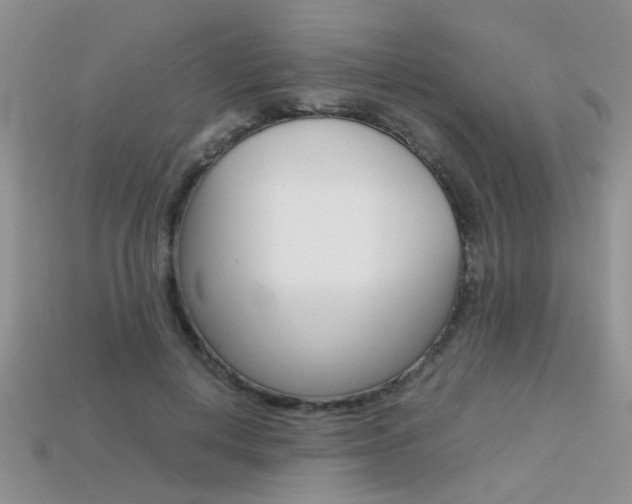 X0000113310648200909141007