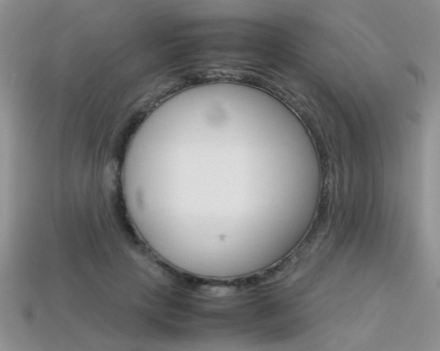 X0000113310649200909141007