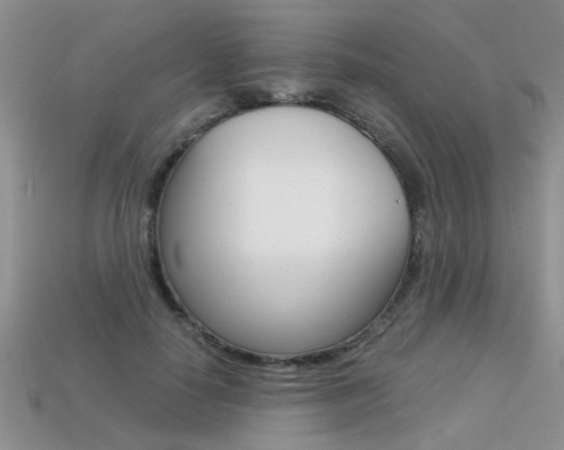 X0000113310650200909141007