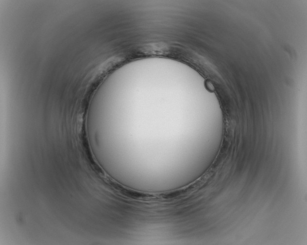 X0000113310652200909141007