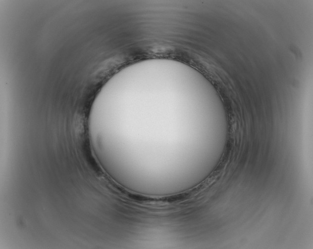 X0000113310654200909141007
