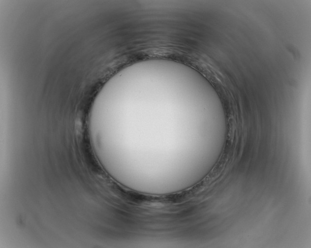 X0000113310655200909141007