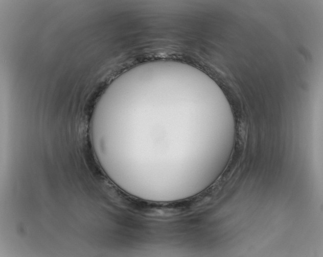 X0000113310657200909141007