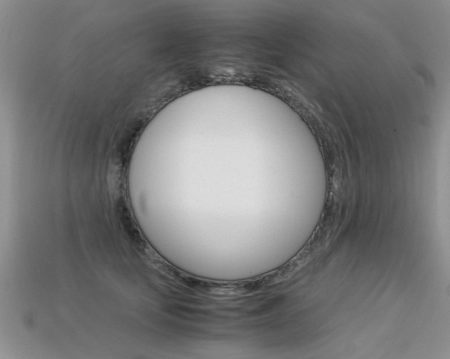 X0000113310659200909141007