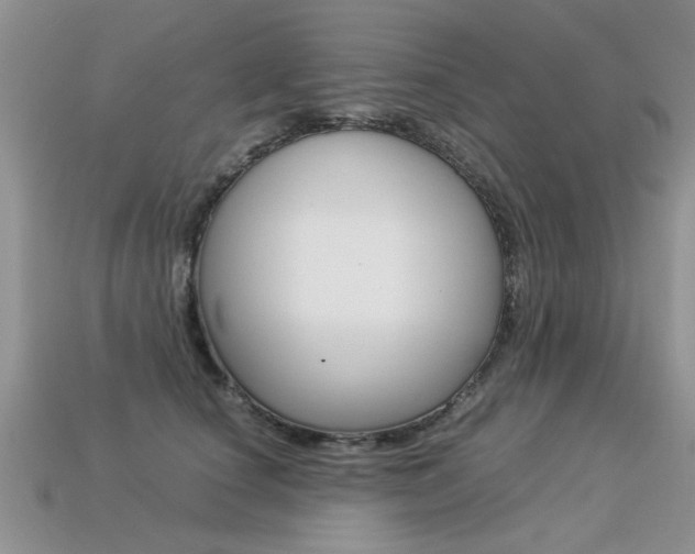 X0000113310660200909141007