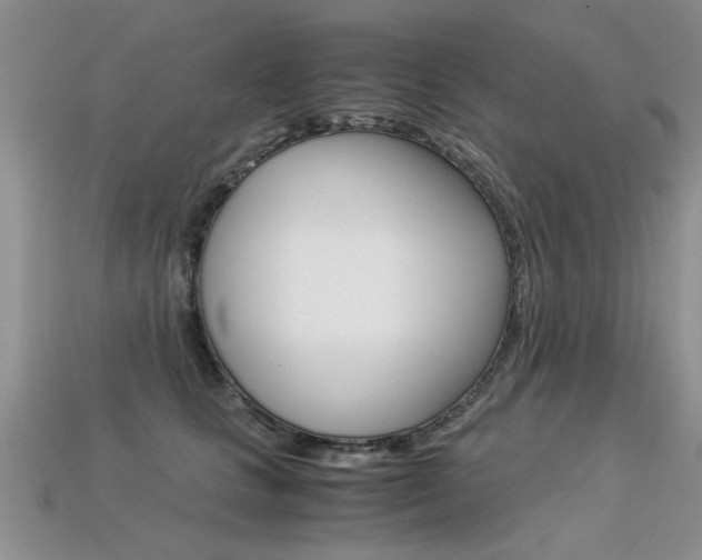 X0000113310661200909141007