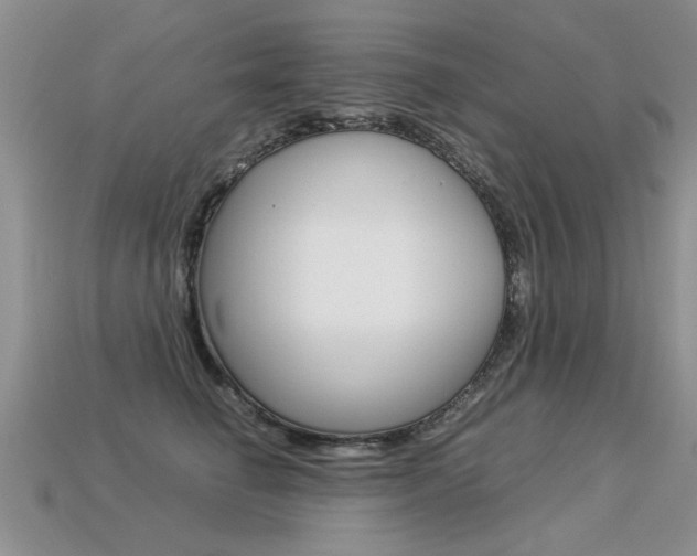 X0000113310662200909141007