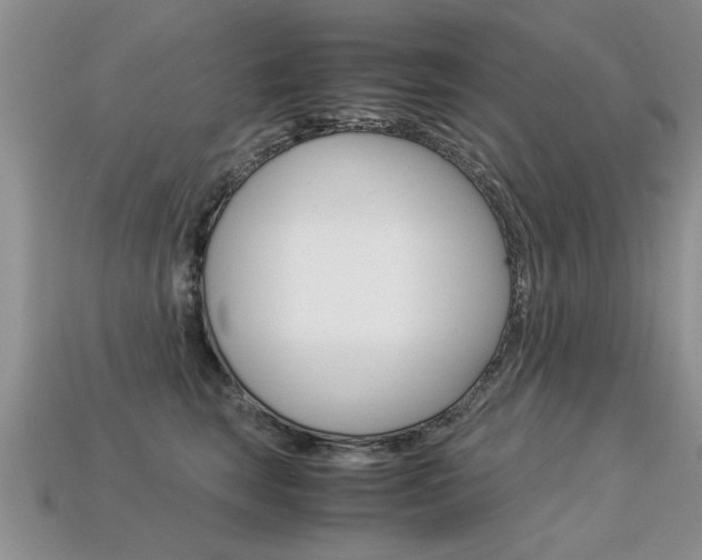 X0000113310663200909141007
