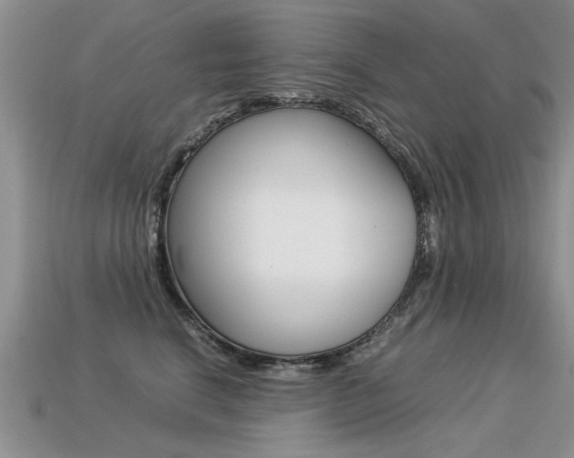 X0000113310664200909141007