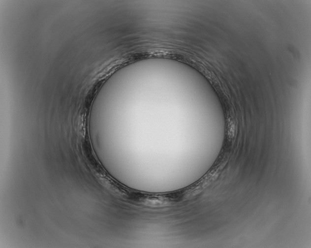 X0000113310666200909141007