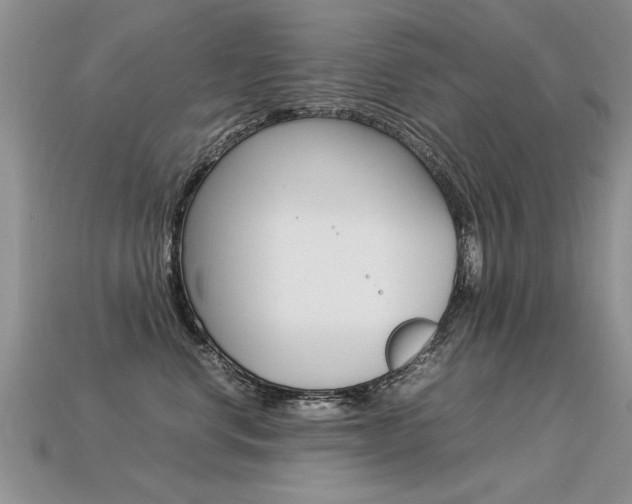 X0000113310668200909141007