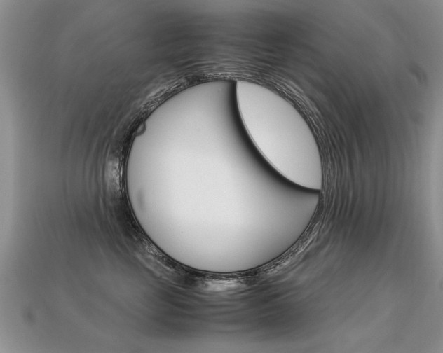 X0000113310669200909141007