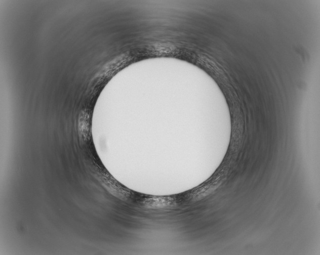 X0000113310672200909141007