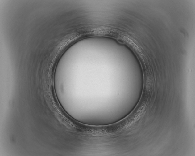 X0000113310673200909141006