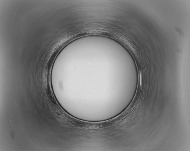 X0000113310675200909141006