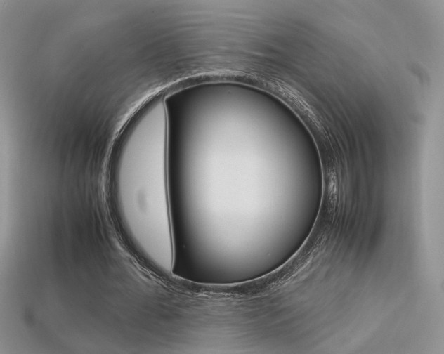 X0000113310676200909141006
