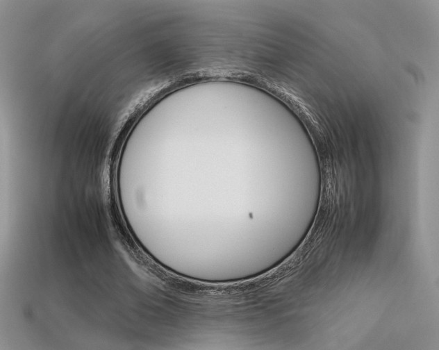 X0000113310678200909141006