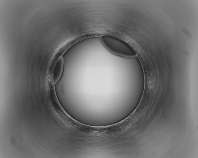 X0000113310680200909141006