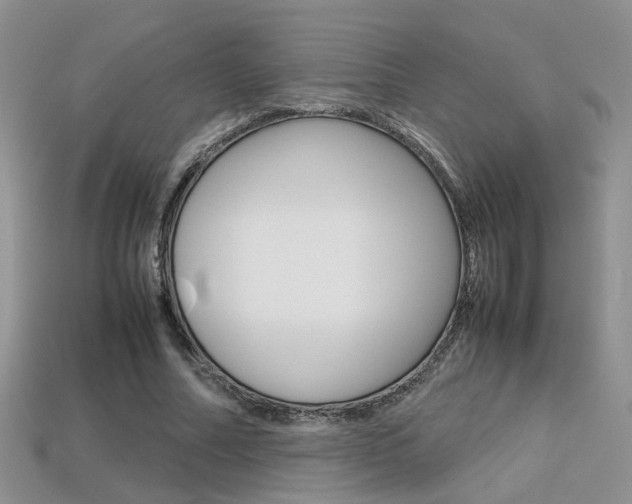 X0000113310682200909141006