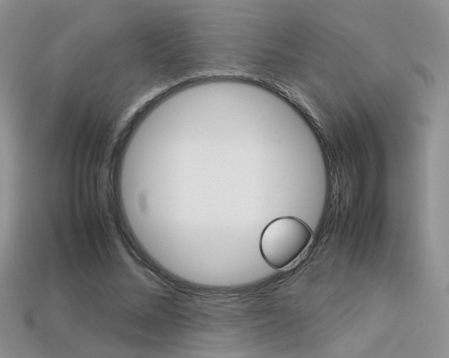 X0000113310684200909141006