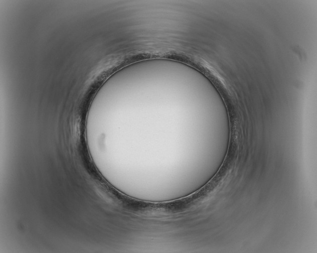X0000113310685200909141006