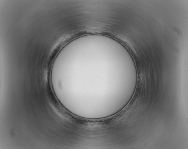 X0000113310686200909141006