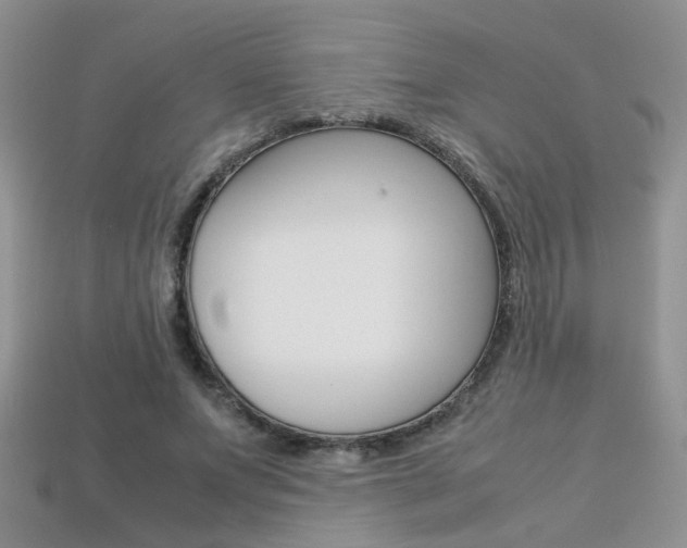 X0000113310687200909141006