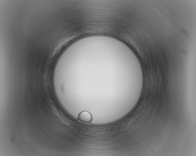 X0000113310688200909141006