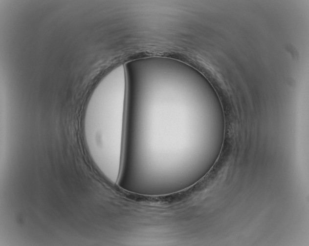 X0000113310689200909141006