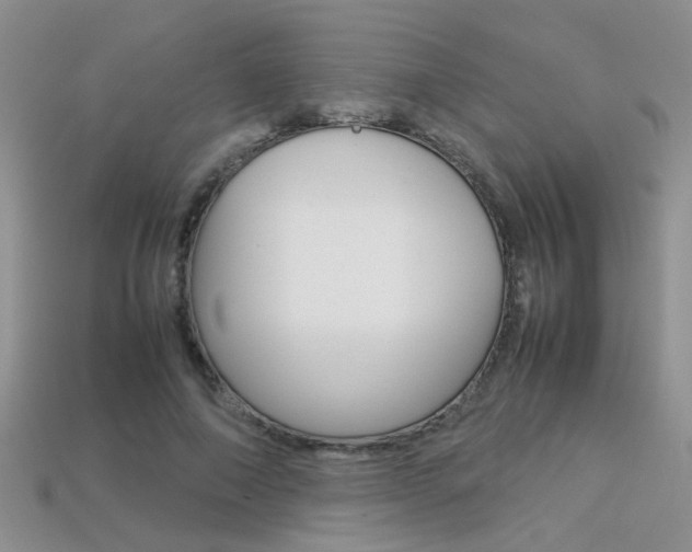 X0000113310690200909141006