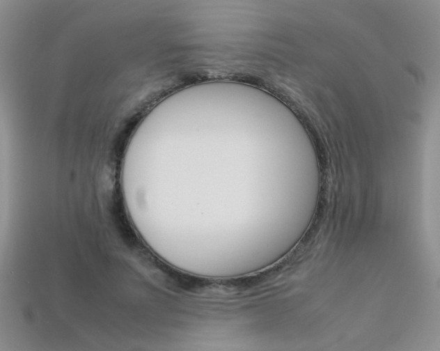 X0000113310691200909141006