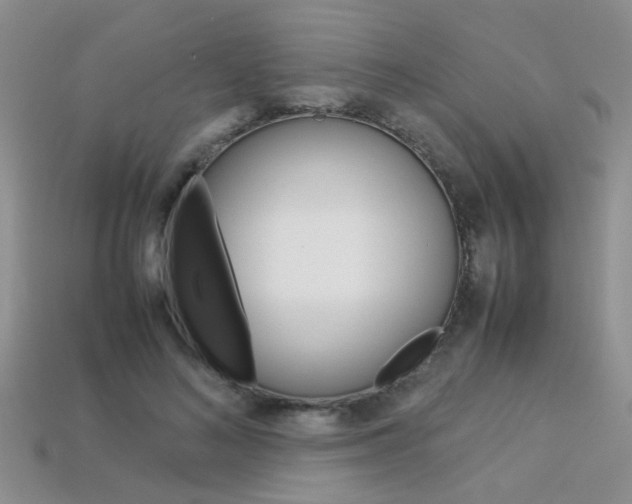 X0000113310692200909141006
