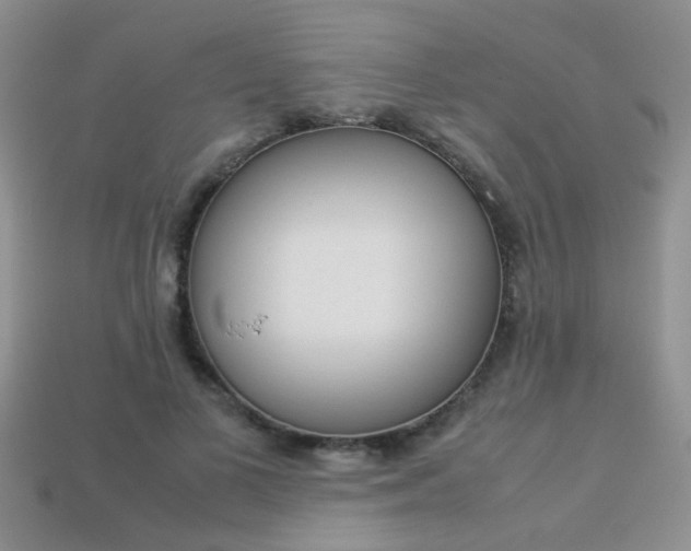 X0000113310693200909141006