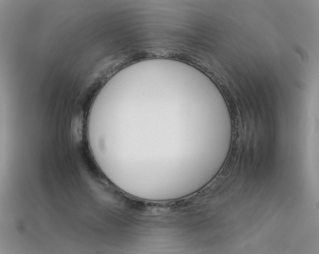 X0000113310694200909141006