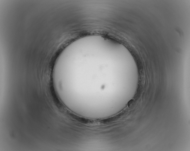 X0000113310695200909141006