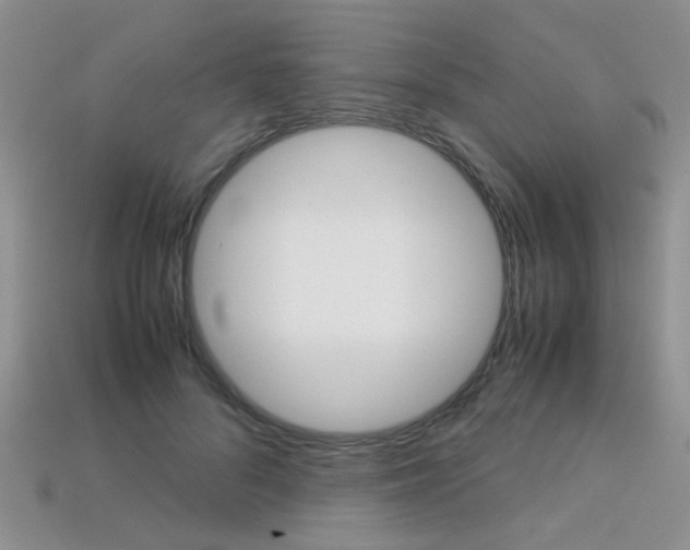 X0000113310696200909141006