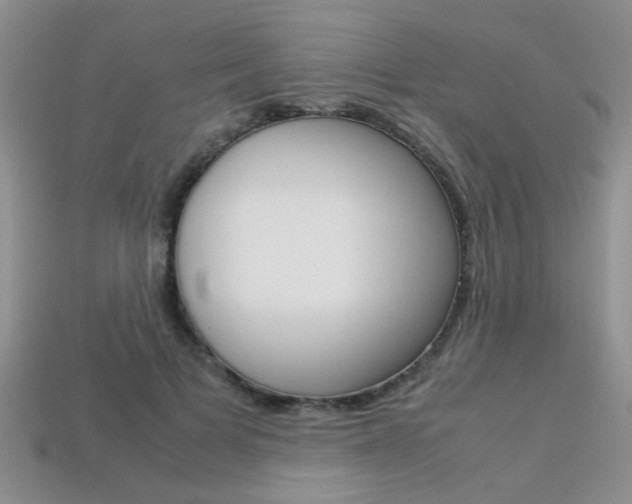X0000113310697200909141006