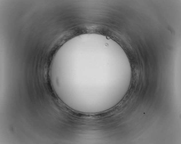 X0000113310698200909141006