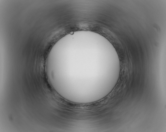 X0000113310702200909141006