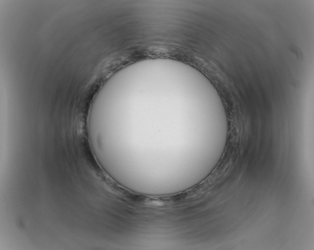 X0000113310706200909141006