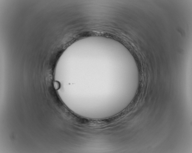 X0000113310707200909141006