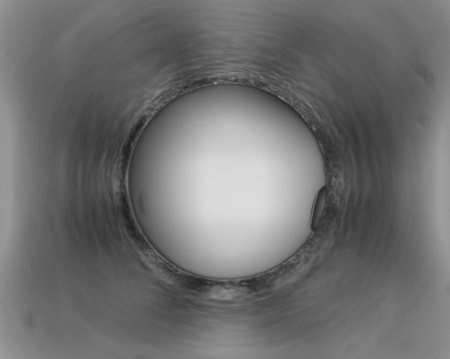X0000113310708200909141006
