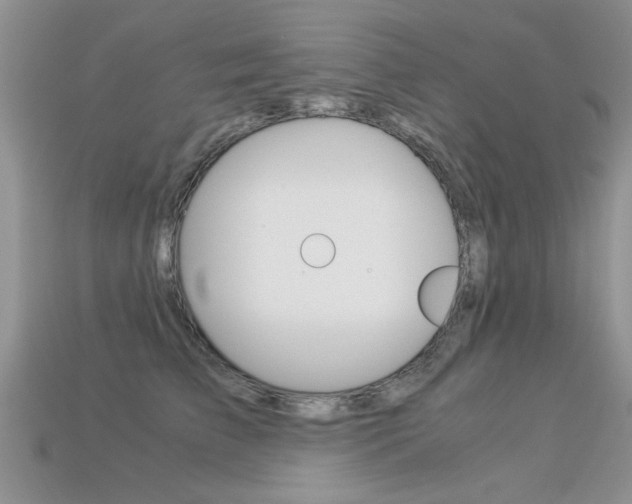 X0000113310709200909141006